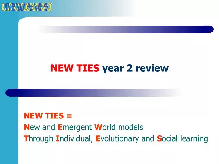 new ties year 2 review