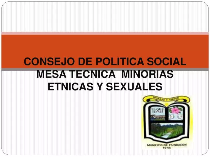 consejo de politica social mesa tecnica minorias etnicas y sexuales