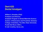 Dent 633 Dental Amalgam - slide 1