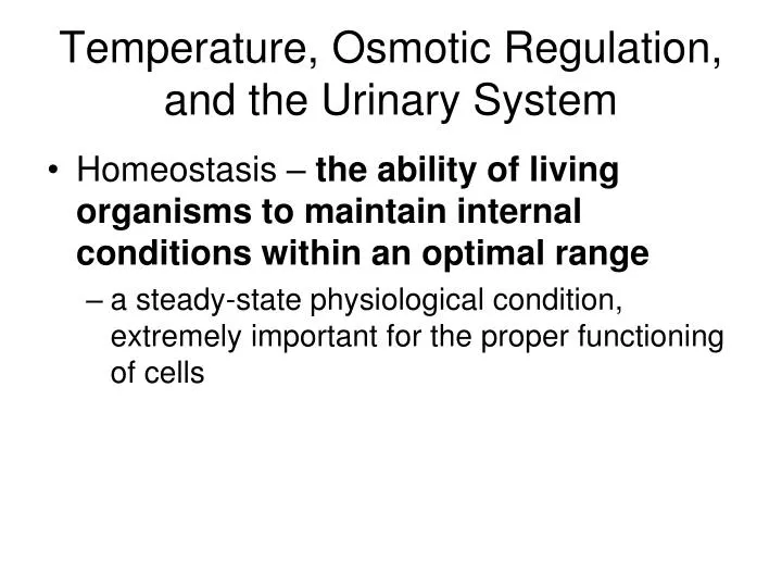 temperature osmotic regulation and the urinary system