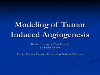 Modeling of Tumor Induced Angiogenesis