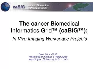 The ca ncer B iomedical I nformatics G rid ™ (caBIG ™ ): In Vivo Imaging Workspace Projects