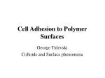 Cell Adhesion to Polymer Surfaces - slide 1