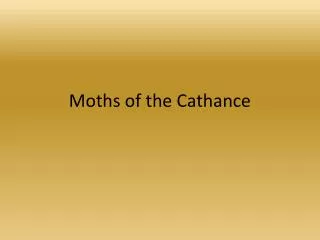 Moths of the Cathance