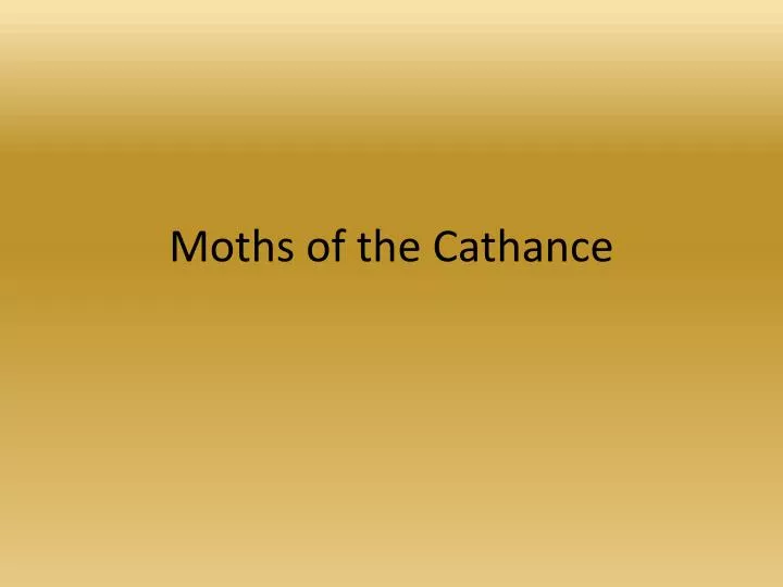moths of the cathance