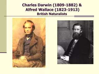 Charles Darwin (1809-1882) &amp; Alfred Wallace (1823-1913) British Naturalists