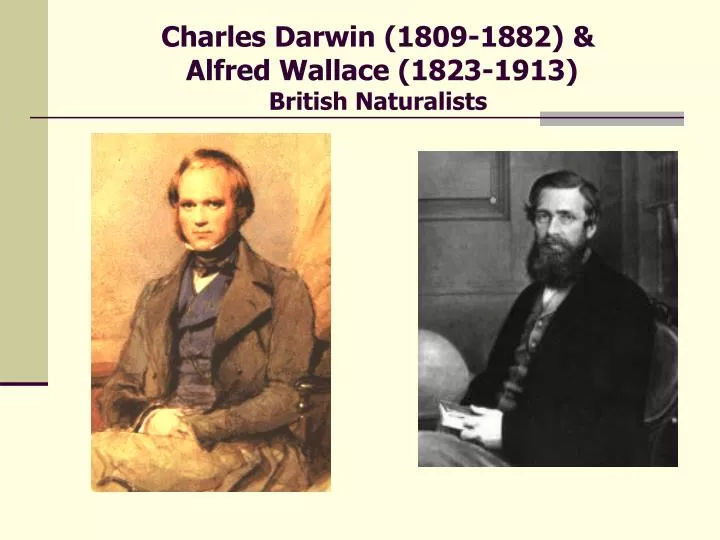 charles darwin 1809 1882 alfred wallace 1823 1913 british naturalists