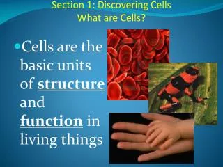 Section 1: Discovering Cells What are Cells?