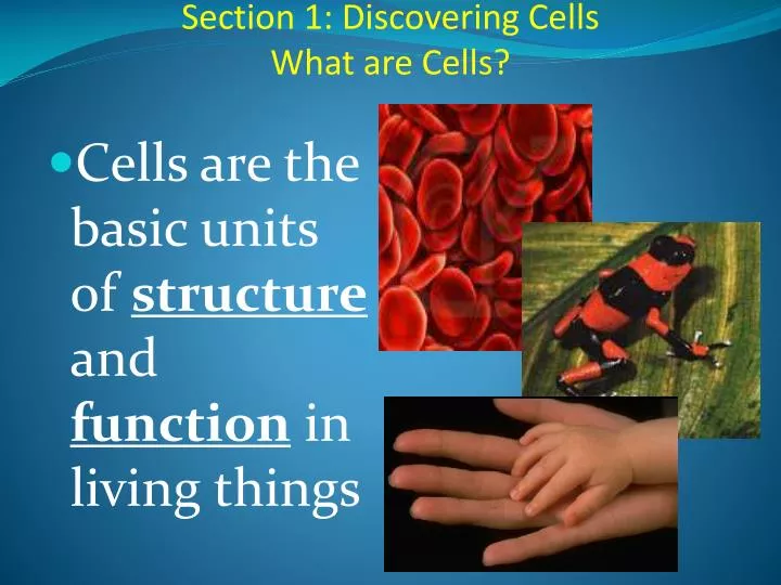 section 1 discovering cells what are cells