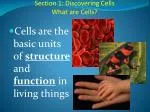 Section 1: Discovering Cells What are Cells?