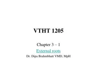 VTHT 1205