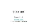 VTHT 1205 - slide 1