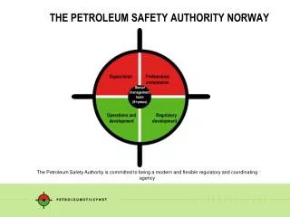THE PETROLEUM SAFETY AUTHORITY NORWAY