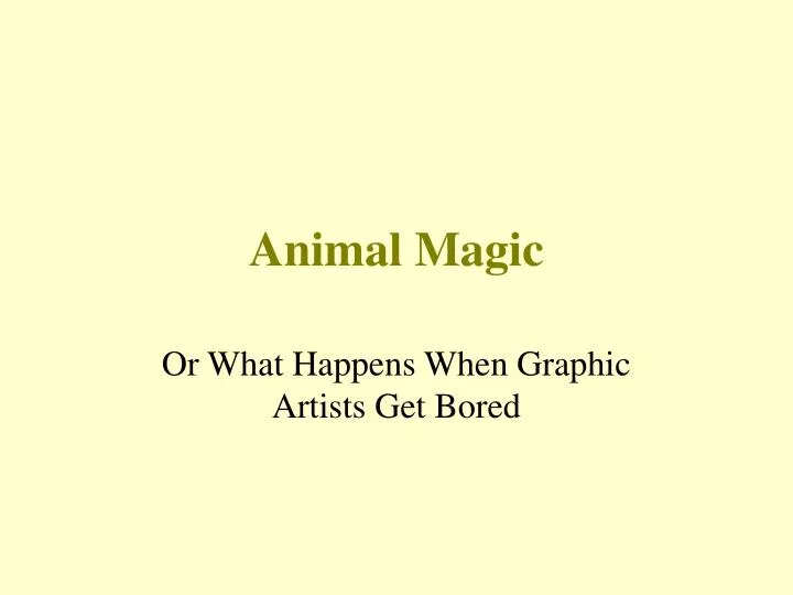 animal magic