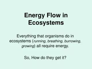 Energy Flow in Ecosystems