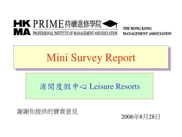 mini survey report
