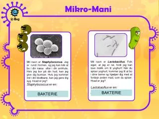 mikro mani