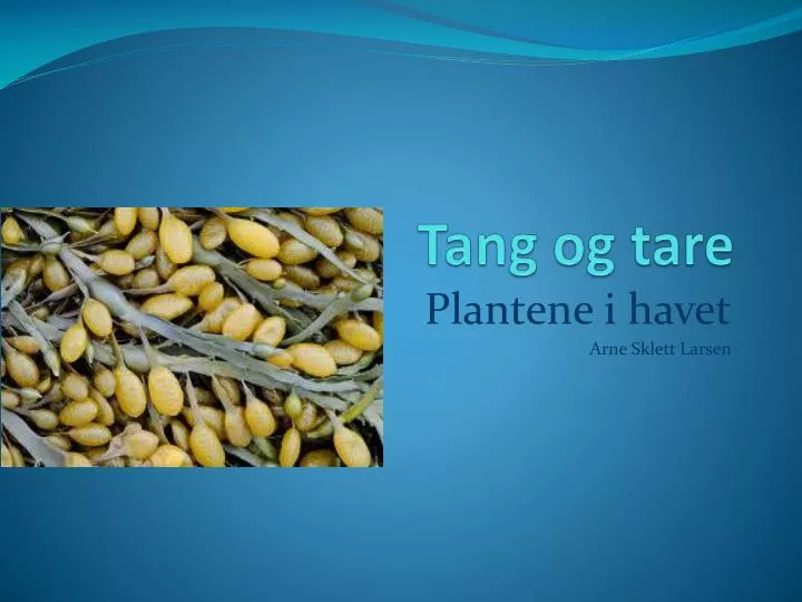 tang og tare