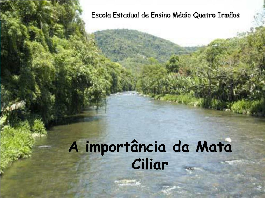 PPT - A importância da Mata Ciliar PowerPoint Presentation, free ...