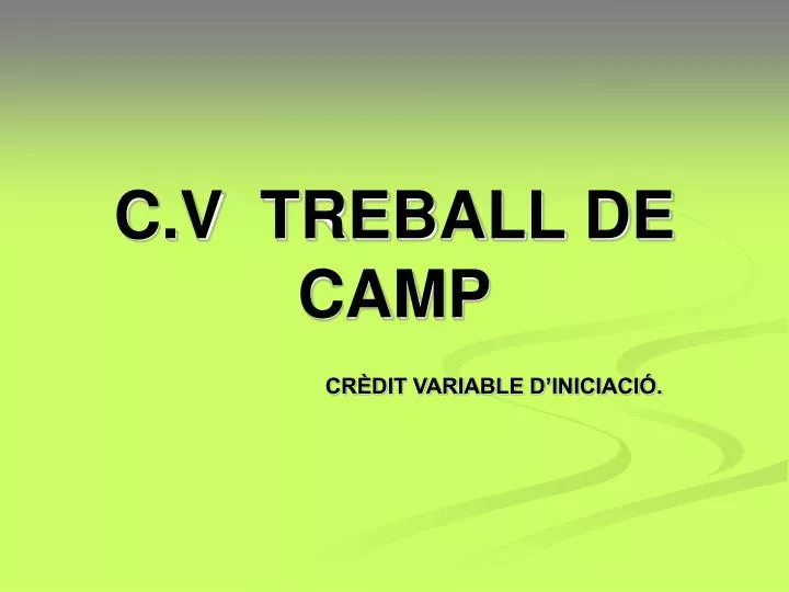 c v treball de camp