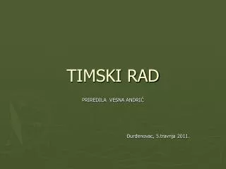 timski rad