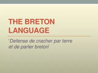 The Breton Language