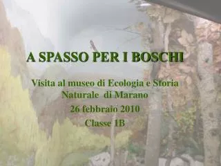 a spasso per i boschi