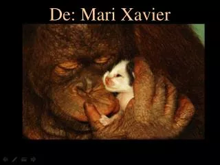 de mari xavier