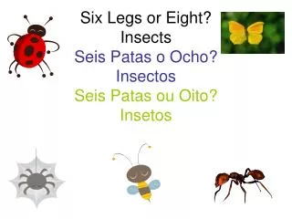Six Legs or Eight? Insects Seis Patas o Ocho? Insectos Seis Patas ou Oito? Insetos