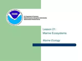 Lesson 21: Marine Ecosystems Marine Ecology