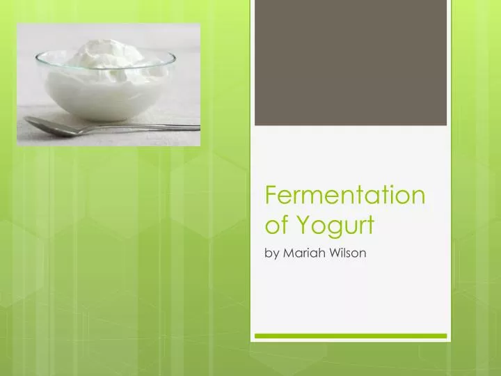 fermentation of yogurt