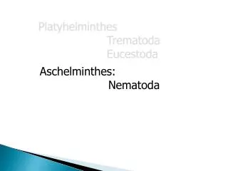Aschelminthes: 		Nematoda