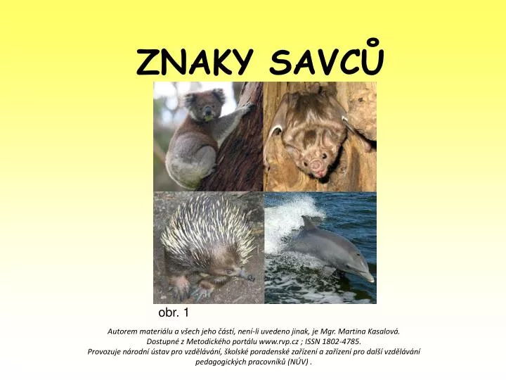 znaky savc