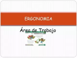 ergonomia