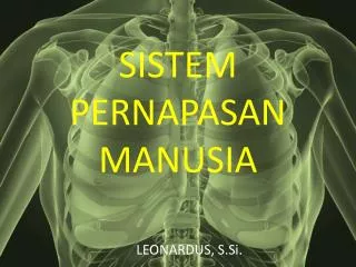 sistem pernapasan manusia