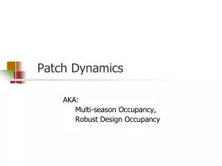 Patch Dynamics