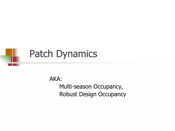 patch dynamics