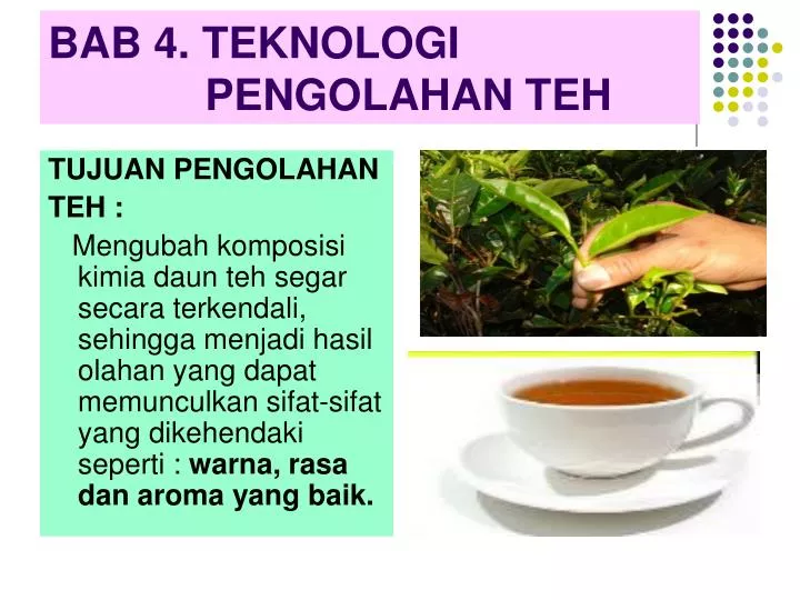 bab 4 teknologi pengolahan teh