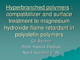 Hyperbranched polymers : compatibilizer and surface treatment to magnesium hydroxide flame retardant in polyolefin poly