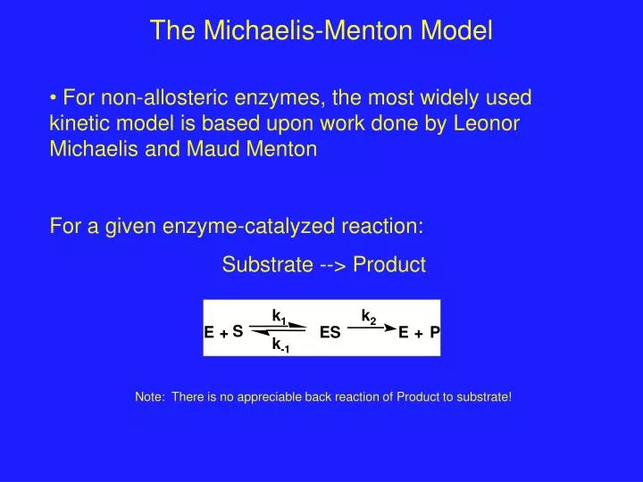 the michaelis menton model