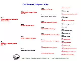 Certificate of Pedigree: Miley