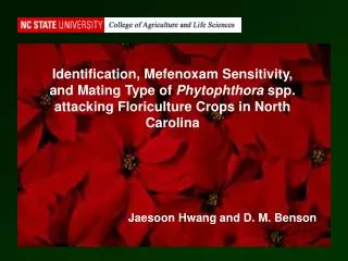Identification, Mefenoxam Sensitivity, and Mating Type of Phytophthora spp. attacking Floriculture Crops in North Caro