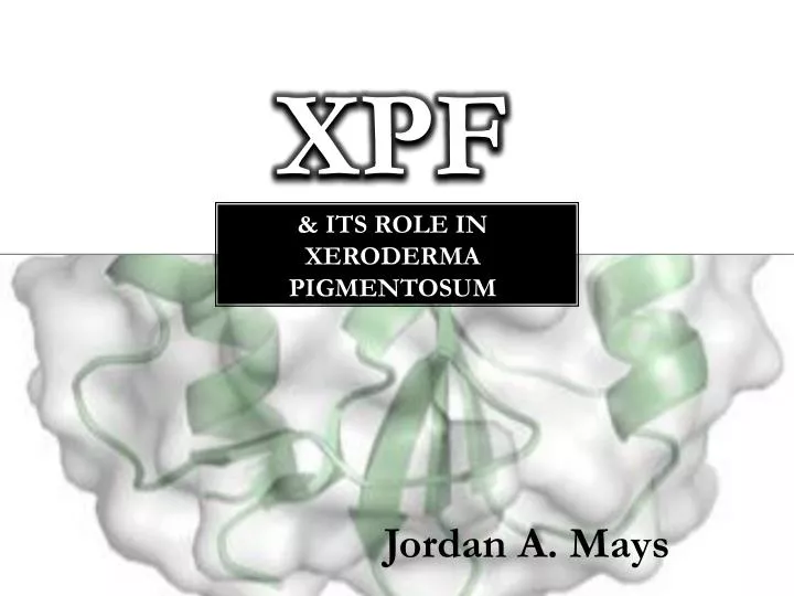 xpf its role in xeroderma p igmentosum