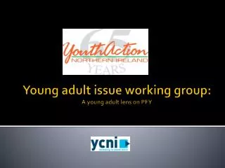 Young adult issue working group: A young adult lens on PFY