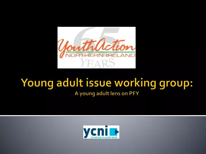 young adult issue working group a young adult lens on pfy