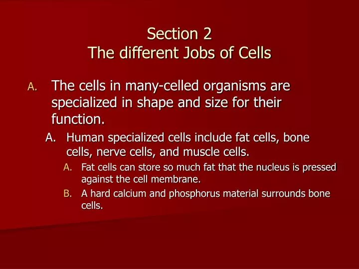 section 2 the different jobs of cells