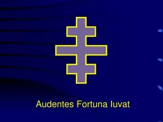 Audentes Fortuna Iuvat