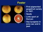 Citrus Grapefruit Varieties Overview - slide 1