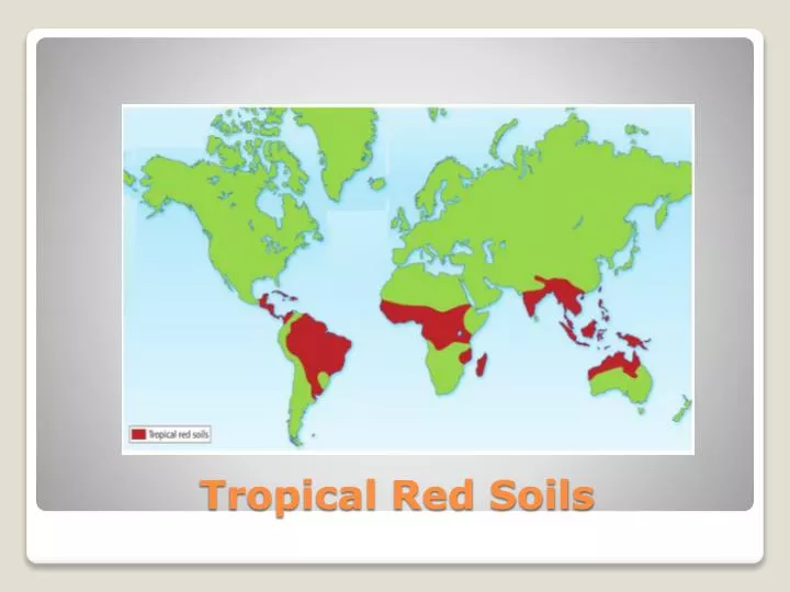 tropical red soils