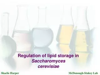 Regulation of lipid storage in Saccharomyces cerevisiae